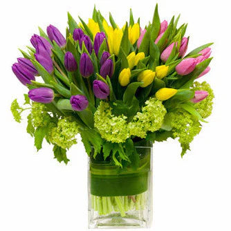 Tulips
