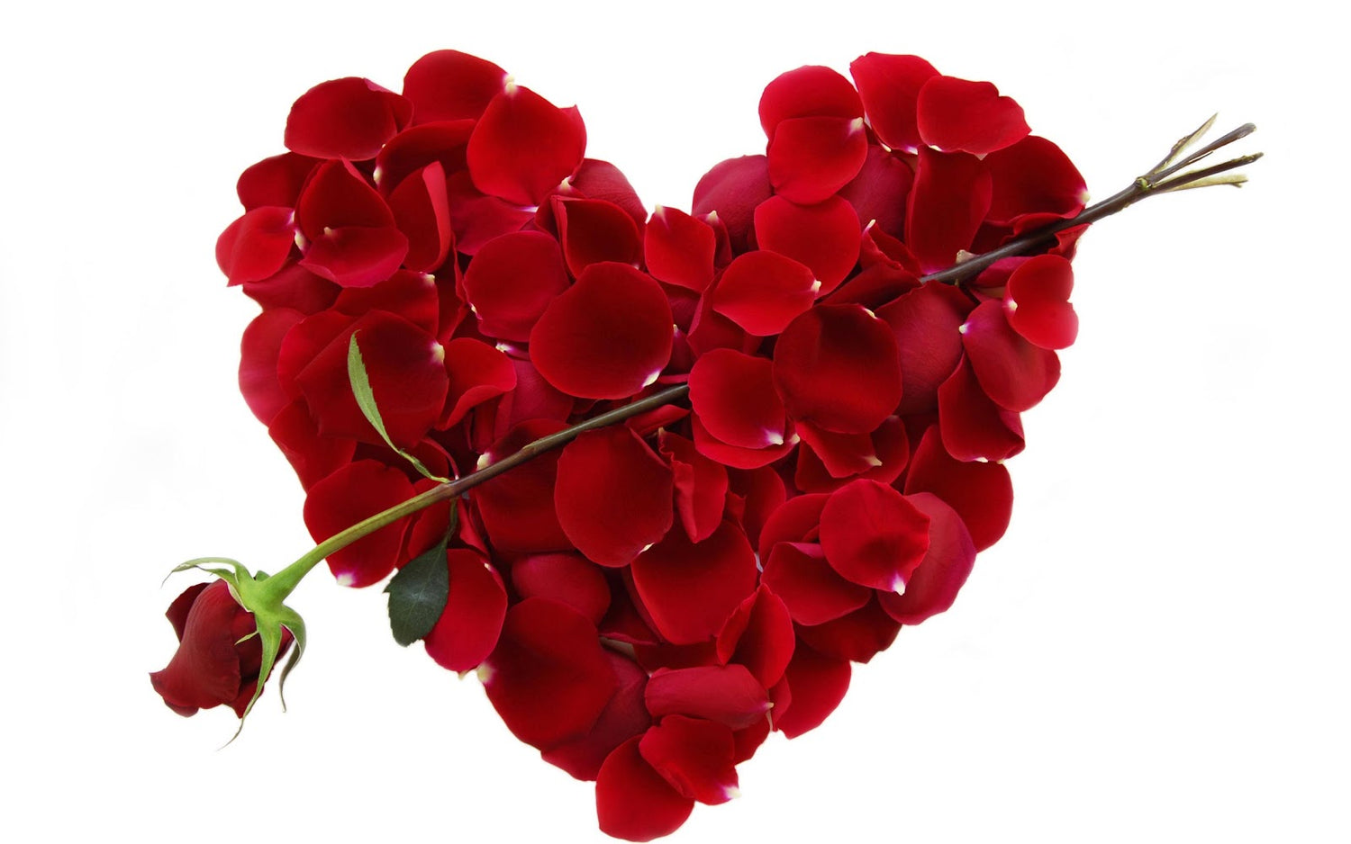 Valentine's Day