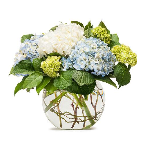 Classic Hydrangea Arrangement