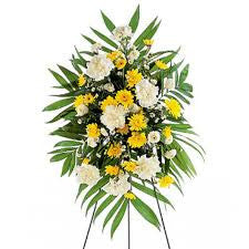 Yellow Dawn Spray