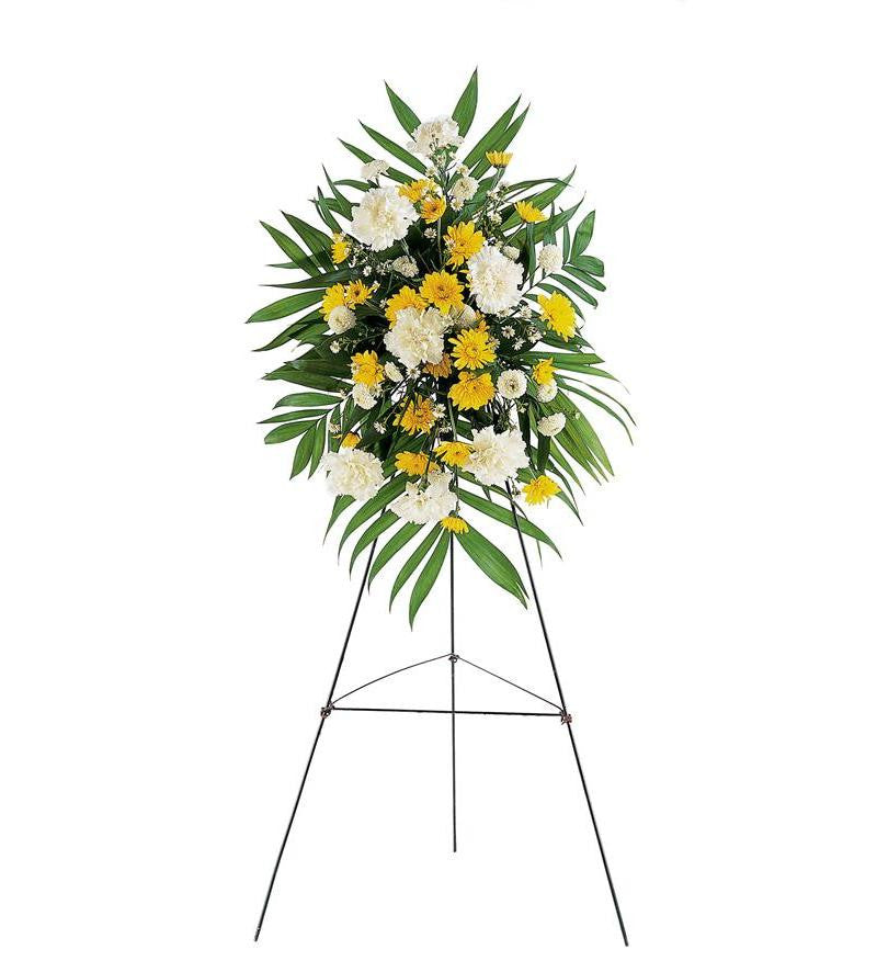 Yellow Dawn Spray
