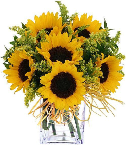 Morning Star Arrangement